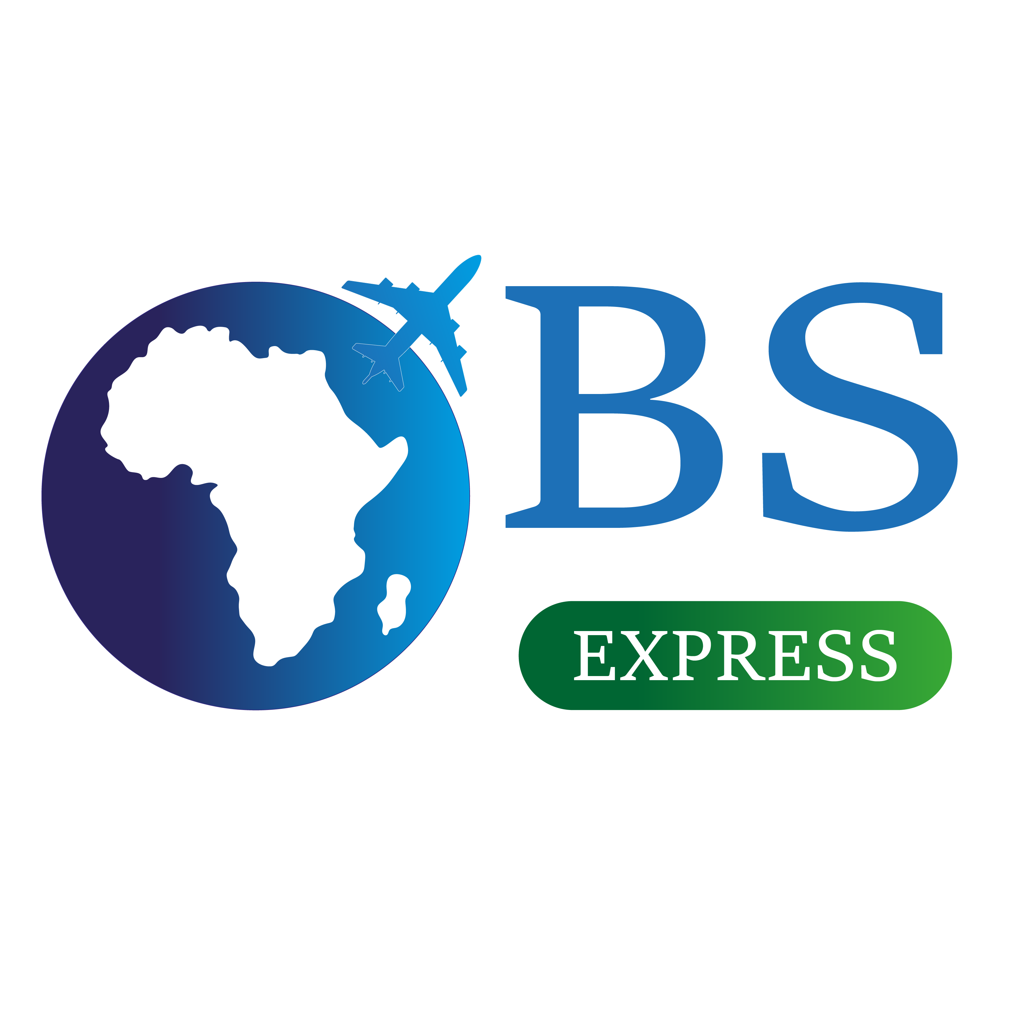 BS INTERNATIONAL EXPRESS Logo